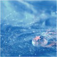 /album/galerie-photos/fond-bleu-jpg/